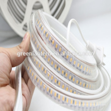 AC220V Outdoor waterproof SMD 3038 flexible LED light Strip